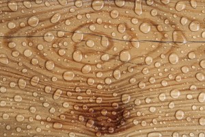 Flooded hardwood floors