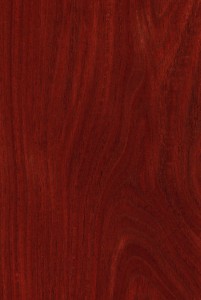 5 Trendy Types of Colors for Hardwood Flooring