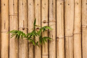 Bamboo flooring