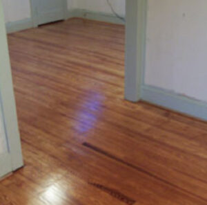 Keeping Scratches From Developing on Your Hardwood Flooring