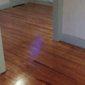 Why Get a Hardwood Floor Installation in Fall?